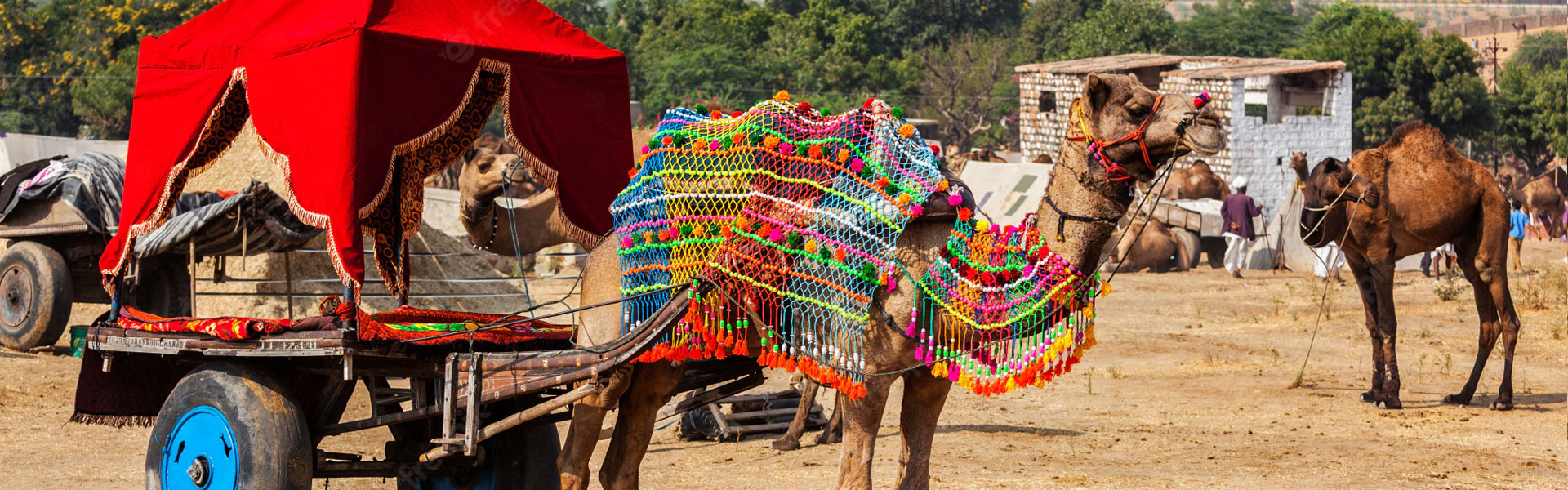 Rajasthan-Tour-with-Pushkar-Camel-Fair